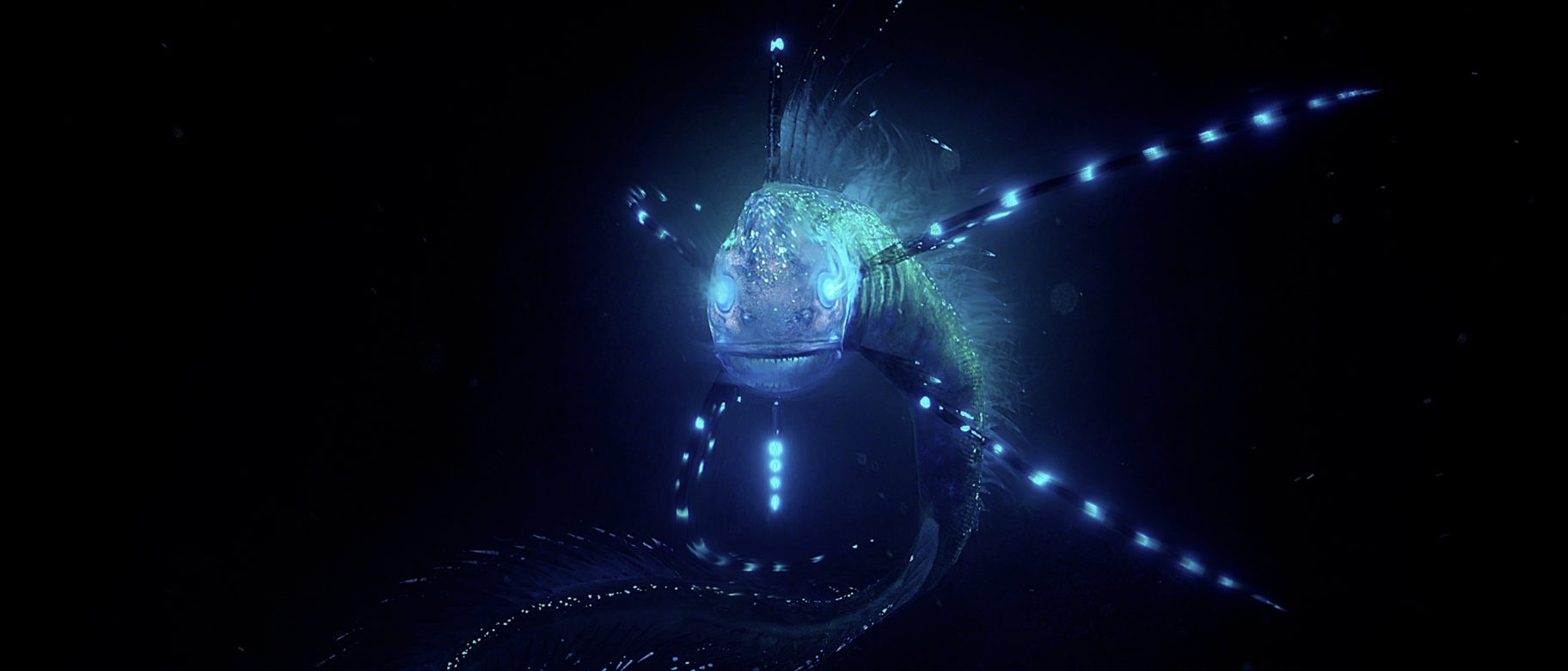 Biolum, GIFF 2021